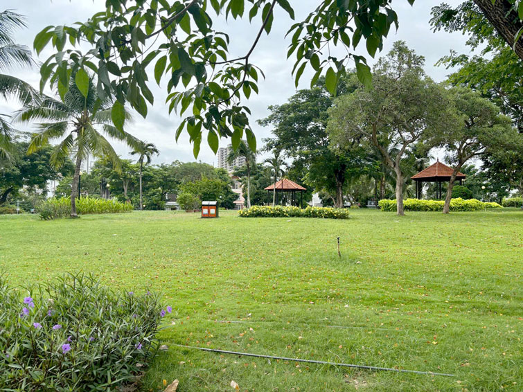 Cho Thuê Biệt Thự Đơn Lập Mỹ Phú 1 View Công Viên Phú Mỹ Hưng Q7